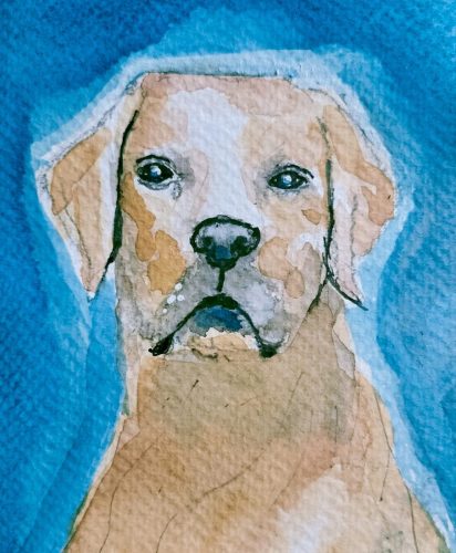 86c79f0a-791c-4ade-a144-4476e9b8c3cc