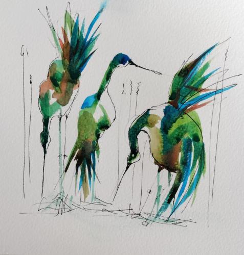 Aquarelle Oiseaux